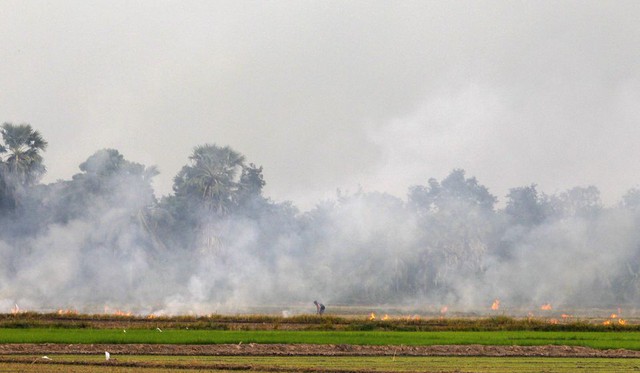 ASEAN quyết tâm 'xóa sổ' tập quán đốt đồng để bảo vệ môi trường - Ảnh 1.