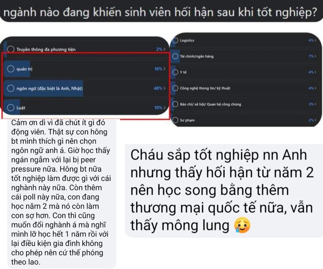 Giỏi tiếng Anh có nên theo ngành ngôn ngữ Anh? - Ảnh 2. Giỏi tiếng Anh có nên theo ngành ngôn ngữ Anh? - Ảnh 2.