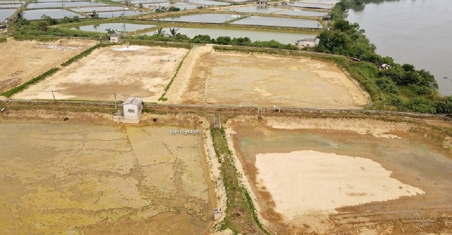 Nghi vấn sông Sa Lung bị 'đầu độc': Một công ty bị xử phạt 50 triệu đồng - Ảnh 3.