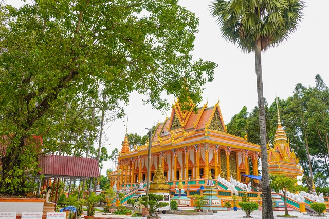 Ngôi chùa “độc nhất vô nhị” với hàng trăm cây sao cổ thụ - Ảnh 3.