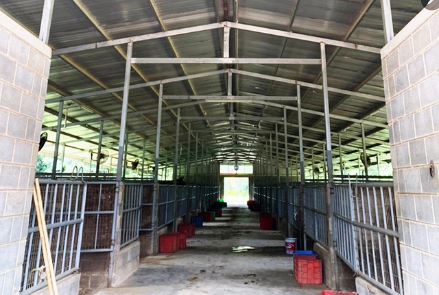 Không tháo dỡ 13 công trình vi phạm ở dự án trường đua ngựa Thiên Mã Madagui - Ảnh 2.