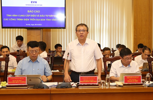 Ông Phạm Hồng Phương, Phó tổng giám đốc EVN, báo cáo tại buổi làm việc