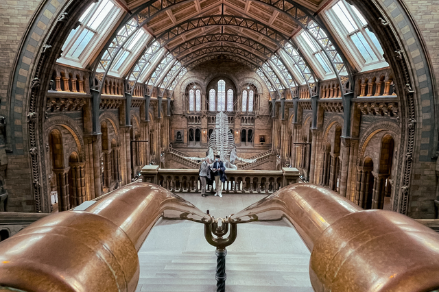 London 'vẫy gọi' - hành trình đắm chìm trong di sản văn hóa và lịch sử - Ảnh 2.