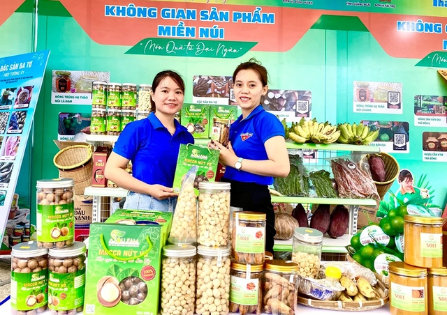 Nhiều mô hình kinh tế hiệu quả của thanh niên - Ảnh 1. Nhiều mô hình kinh tế hiệu quả của thanh niên - Ảnh 1.