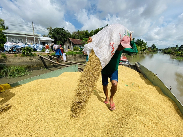 Tin tức đặc biệt trên báo in Thanh Niên 2.11.2023 - Ảnh 2.