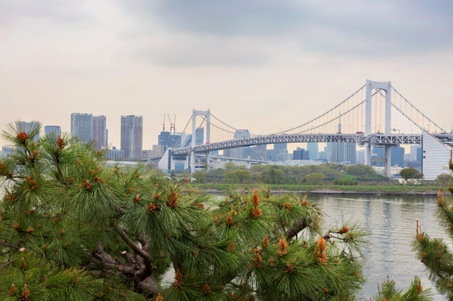 Lạc vào thế giới công nghệ tương lai tại Odaiba, Nhật Bản - Ảnh 3.