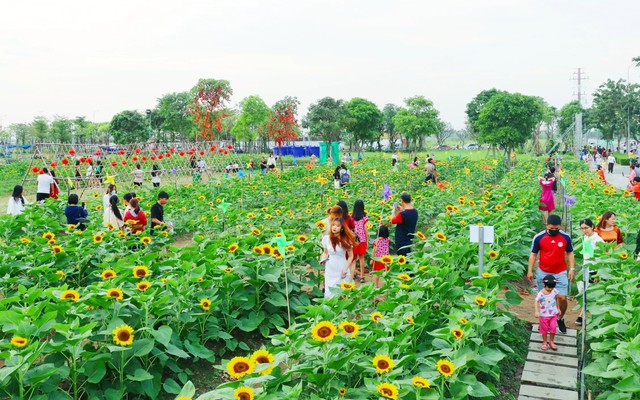 TP.HCM lưu ý gì khi chỉnh trang bờ sông Sài Gòn phía Thủ Thiêm - Ảnh 2.