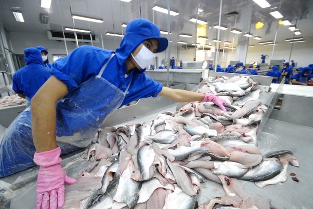 Thủy sản xuất khẩu EU bị khuyến nghị giám sát an toàn thực phẩm - Ảnh 1.