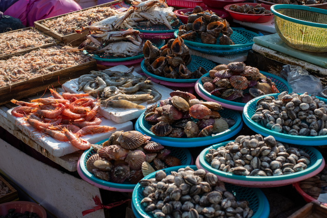 Chợ cá Jagalchi - Điểm đến hấp dẫn cho mọi tín đồ ẩm thực tại Busan - Ảnh 2.