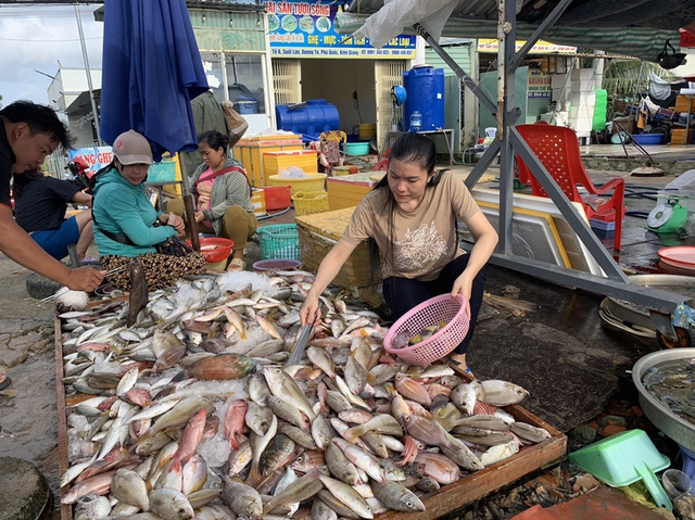 Bí kíp đi chợ từ bữa cơm cá 25.000 đồng - Ảnh 1.