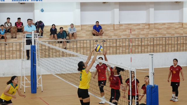 11 đội tham gia giải bóng chuyền các câu lạc bộ nam, nữ tỉnh Bình Định - Ảnh 2.
