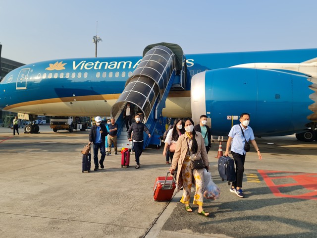 Hàng không ồ ạt cắt giảm đường bay, vé máy bay tết có khan hiếm? - Ảnh 2. Hàng không ồ ạt cắt giảm đường bay, vé máy bay tết có khan hiếm? - Ảnh 2.