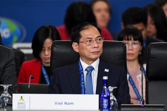 Việt Nam đề xuất 3 ưu tiên hợp tác APEC - Ảnh 3.