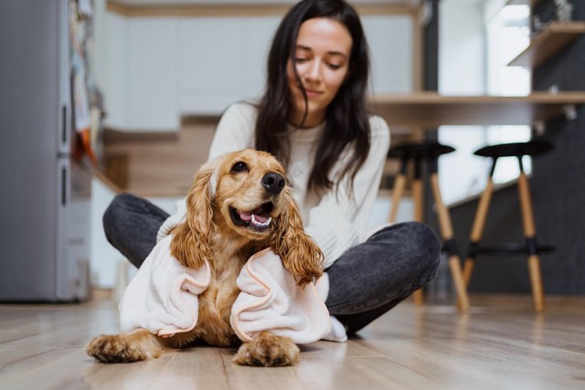 'Sống hòa thuận' cùng lông thú cưng trong nhà: Giải pháp mới đến từ LG - Ảnh 1. 'Sống hòa thuận' cùng lông thú cưng trong nhà: Giải pháp mới đến từ LG - Ảnh 1.
