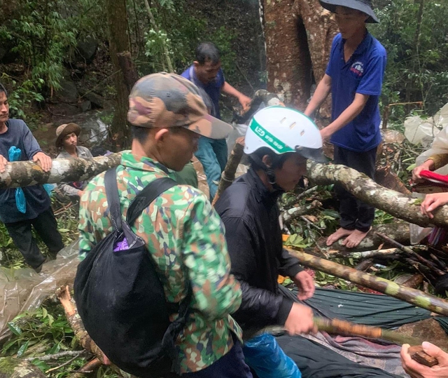 Đắk Lắk: Điều tra nguyên nhân vụ cây ngã đổ đè chết 3 người trong rừng - Ảnh 1.