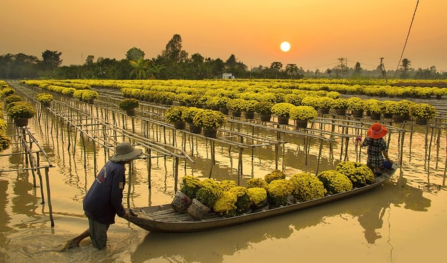 Du lịch tung tour tết sớm giá tốt, kỳ vọng khách nhộn nhịp - Ảnh 2. Du lịch tung tour tết sớm giá tốt, kỳ vọng khách nhộn nhịp - Ảnh 2.