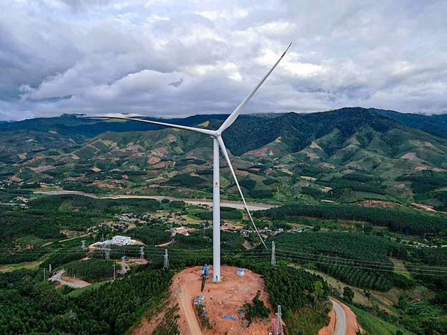Lấn chiếm đất rừng làm điện gió, một công ty bị phạt 800 triệu đồng - Ảnh 1.