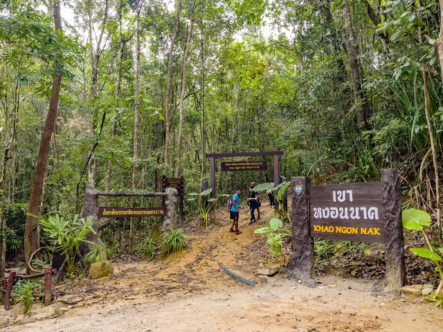 Khám phá kỳ quan tự nhiên: Leo núi đá vôi Khao Ngon Nak ở Krabi  - Ảnh 2.