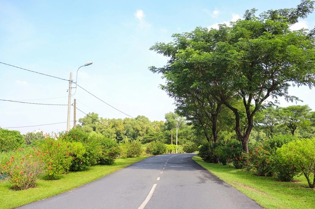 Nơi xanh mát thu hút người trẻ đến thư giãn, chụp hình - Ảnh 1. Nơi xanh mát thu hút người trẻ đến thư giãn, chụp hình - Ảnh 1.