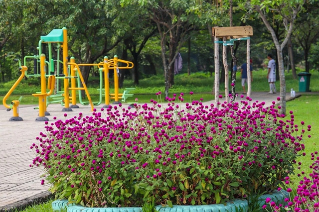 Nơi xanh mát thu hút người trẻ đến thư giãn, chụp hình - Ảnh 8. Nơi xanh mát thu hút người trẻ đến thư giãn, chụp hình - Ảnh 8.