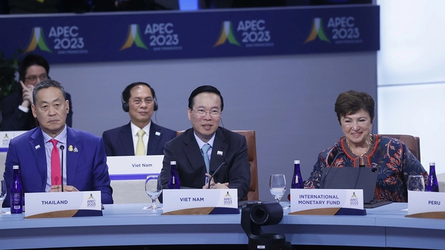 Việt Nam sẽ đăng cai Năm APEC 2027 - Ảnh 1.