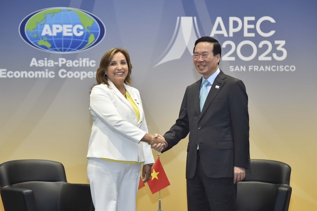 Chủ tịch nước Võ Văn Thưởng gặp Tổng thống Peru nhân Hội nghị cấp cao APEC 2023 - Ảnh 1.