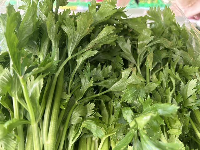 Cần tây có nhiều lợi ích nhưng lưu ý gì khi sử dụng - Ảnh 1. Cần tây có nhiều lợi ích nhưng lưu ý gì khi sử dụng - Ảnh 1.