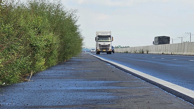 Cỏ dại ‘xâm chiếm’ cao tốc Phan Thiết - Dầu Giây - Ảnh 1.