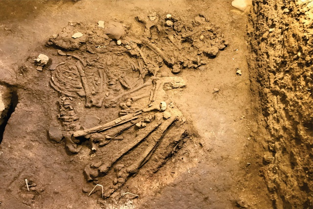 Di cốt người tiền sử khai quật tại hang đội 4 thuộc vùng lõi danh thắng Tam Chúc
