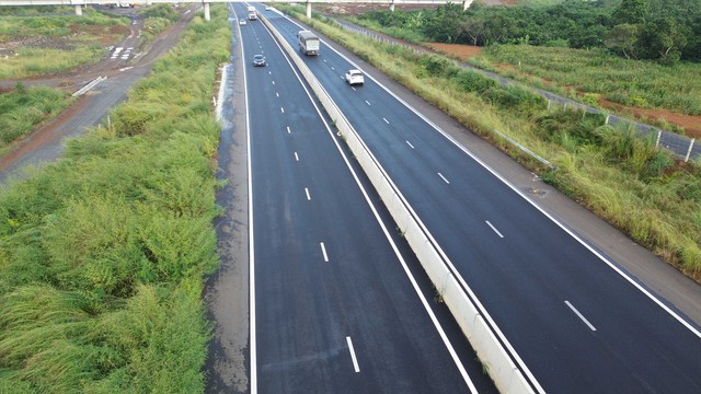 Cỏ dại ‘xâm chiếm’ cao tốc Phan Thiết - Dầu Giây - Ảnh 3.