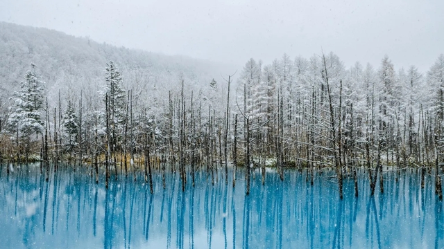 Mở ra một mùa đông mộng mơ ở Nhật Bản, trải nghiệm những bông tuyết trắng   - Ảnh 9.