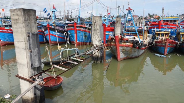 Hàng trăm tàu cá của ngư dân Quảng Ngãi nằm bờ vì không đăng kiểm, đăng ký - Ảnh 2.