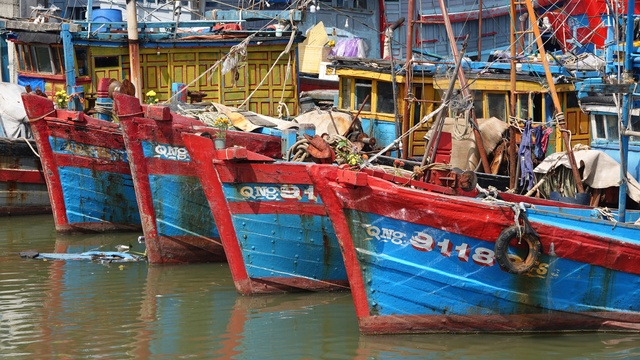 Hàng trăm tàu cá của ngư dân Quảng Ngãi nằm bờ vì không đăng kiểm, đăng ký - Ảnh 1.
