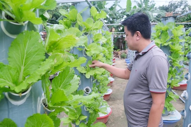 Chàng trai sửa điện thoại làm giàu từ trồng rau trên ống nhựa - Ảnh 1.