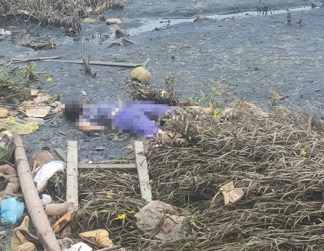 Phát hiện thi thể người phụ nữ tại bãi bồi sông Phú Xuân - Ảnh 1.