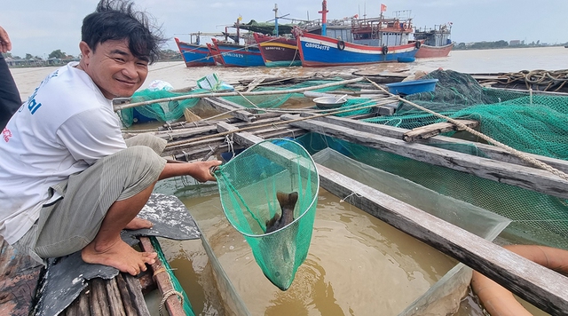 Cồn bãi giữa dòng Gianh: Những “cái nhất” ở Cồn Sẻ - Ảnh 4. Cồn bãi giữa dòng Gianh: Những “cái nhất” ở Cồn Sẻ - Ảnh 4.