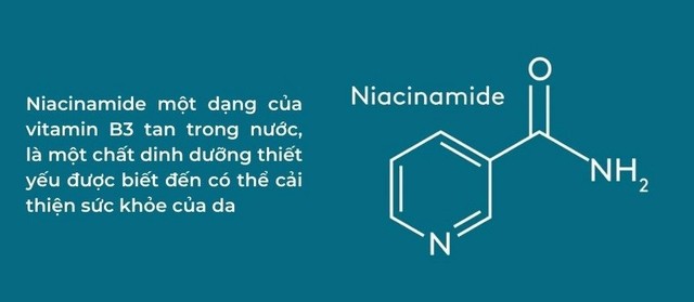 Niacinamide là gì? Tác dụng như thế nào đối với làn da? - Ảnh 2.