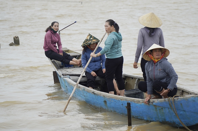 Cồn bãi giữa dòng Gianh: Cồn Cưỡi, tiếng thở dài nơi sông nước - Ảnh 4.