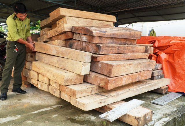 Quảng Nam: Phát hiện lượng lớn gỗ lậu cất giấu trên đất của một trưởng phòng huyện - Ảnh 1.
