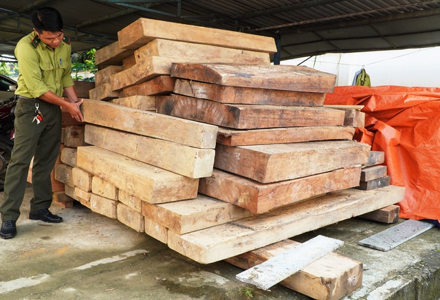 'Gỗ thất lạc hồ sơ' trên đất cán bộ huyện: Phạt người anh trai 37,5 triệu đồng - Ảnh 1. 'Gỗ thất lạc hồ sơ' trên đất cán bộ huyện: Phạt người anh trai 37,5 triệu đồng - Ảnh 1.