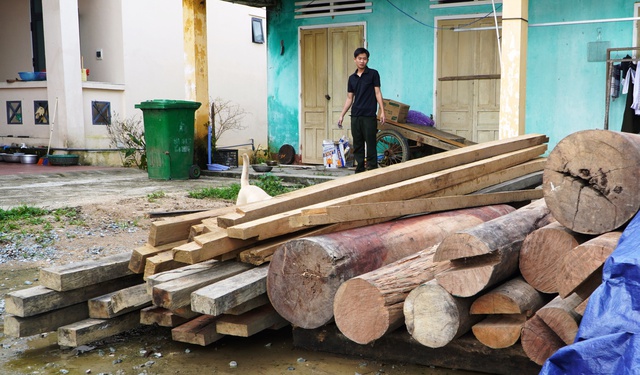 Quảng Nam: Phát hiện lượng lớn gỗ lậu cất giấu trên đất của một trưởng phòng huyện - Ảnh 2.