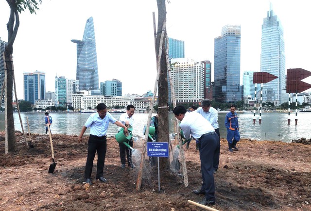 15.000 cây hướng dương bên sông Sài Gòn sẽ nở hoa dịp Tết Dương lịch - Ảnh 1. 15.000 cây hướng dương bên sông Sài Gòn sẽ nở hoa dịp Tết Dương lịch - Ảnh 1.