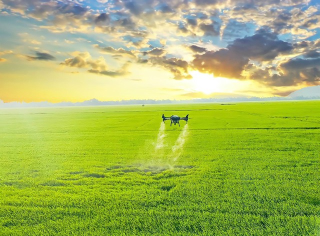 Phê duyệt 1 triệu hecta lúa chất lượng cao, giảm 10% phát thải - Ảnh 1.