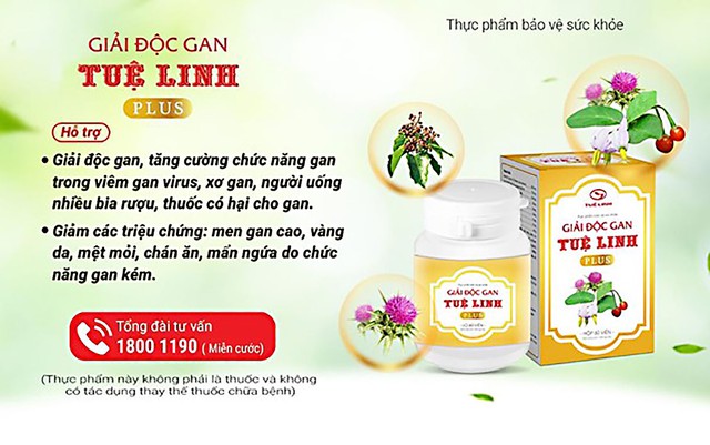 Top 5 dược liệu quý giải độc, bảo vệ gan  - Ảnh 1.