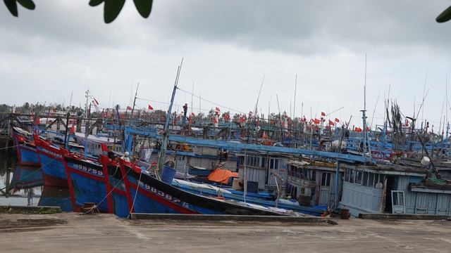 Rà soát bổ sung tàu cá ngư dân Quảng Ngãi chưa đăng ký, đăng kiểm  - Ảnh 3.