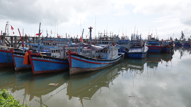 Rà soát bổ sung tàu cá ngư dân Quảng Ngãi chưa đăng ký, đăng kiểm  - Ảnh 2.