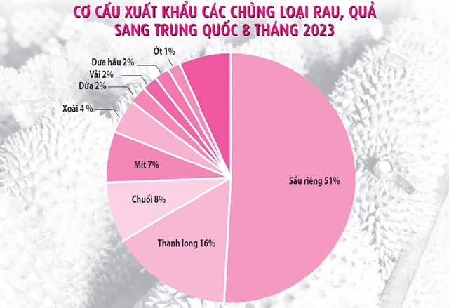 Sầu riêng 'sốt' giá, kim ngạch có thể đạt 2,4 tỉ USD - Ảnh 1. Sầu riêng 'sốt' giá, kim ngạch có thể đạt 2,4 tỉ USD - Ảnh 1.