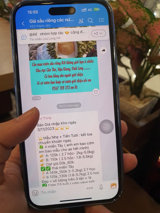 Sầu riêng 'sốt' giá, kim ngạch có thể đạt 2,4 tỉ USD - Ảnh 2. Sầu riêng 'sốt' giá, kim ngạch có thể đạt 2,4 tỉ USD - Ảnh 2.
