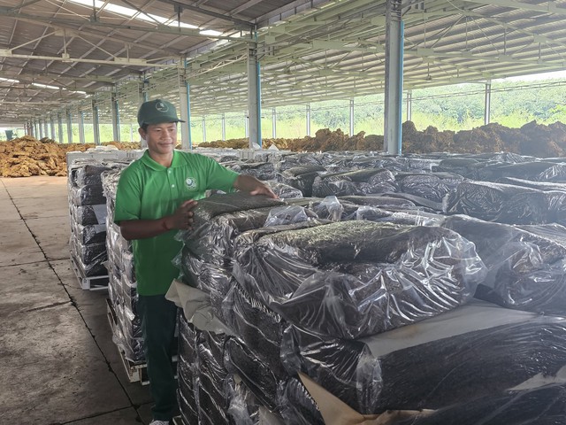 ẢNH: HẠNH VIÊN  Anh Khoen Sothanh, 30 tuổi, tổ trưởng sản xuất của nhà máy chế biến mủ CSR10