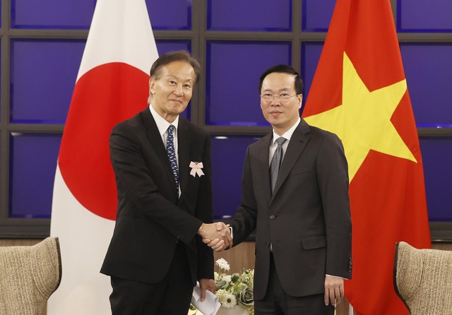 Thúc đẩy hợp tác giữa khu vực Kyushu và Việt Nam - Ảnh 1.